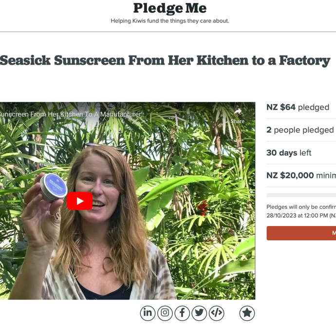 My Crowdfunding Campaign is Live: Help Nat Move Out of Her Kitchen